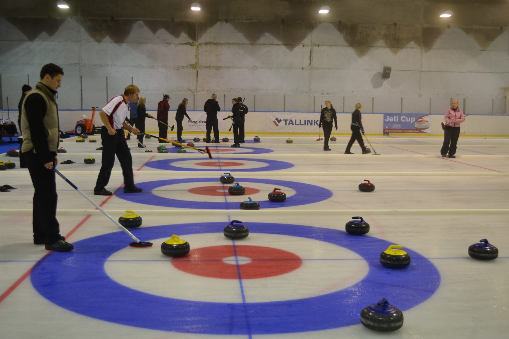 Curling game Nordic Experience
