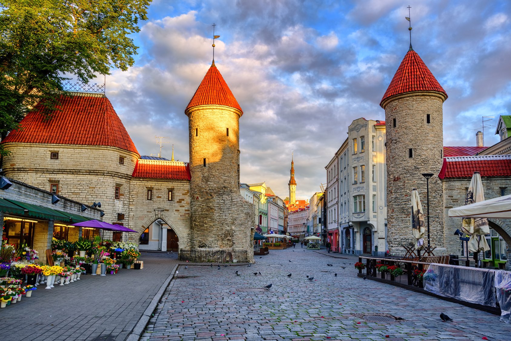 tallinn estonia cruise port to old town