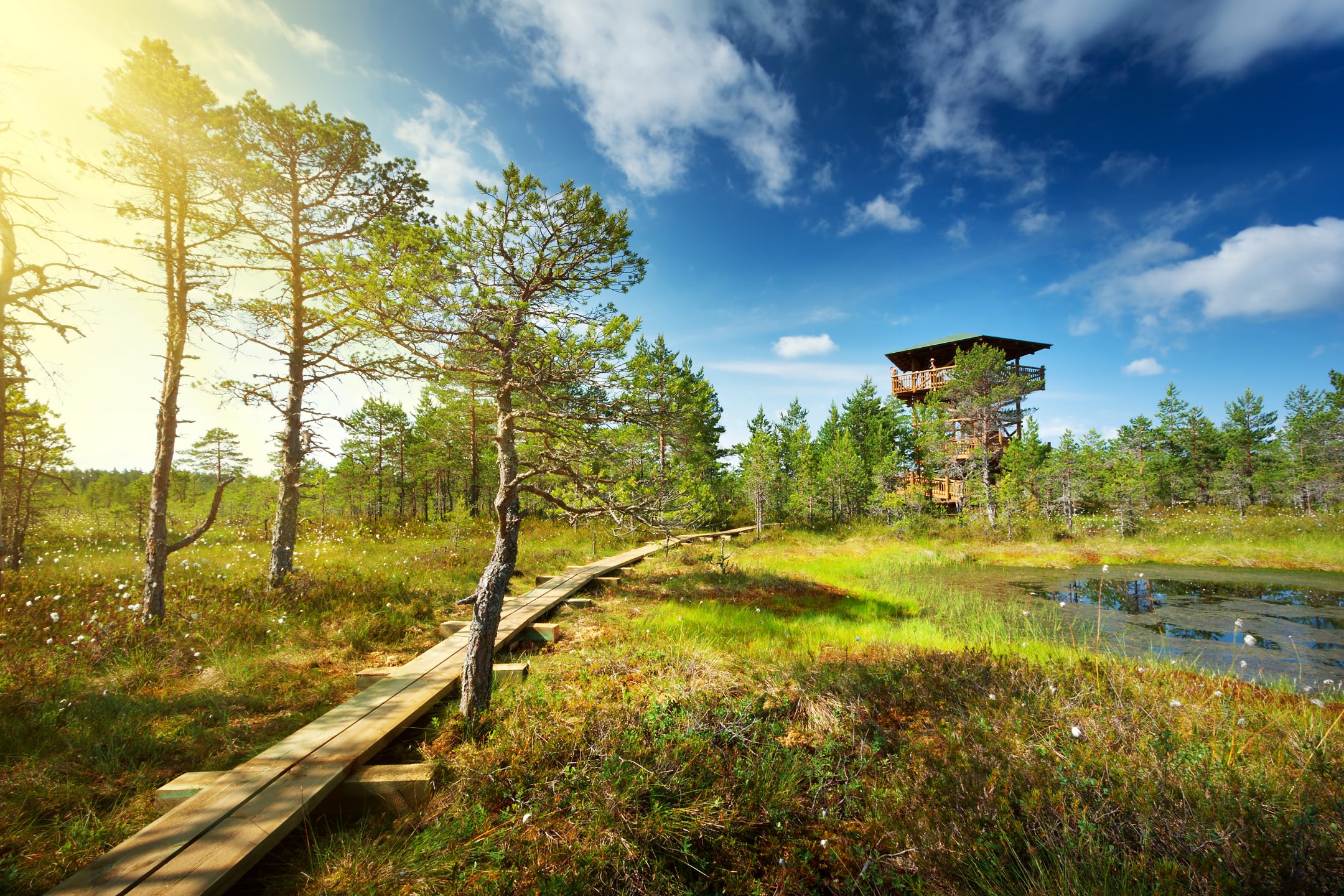 estonian nature tours