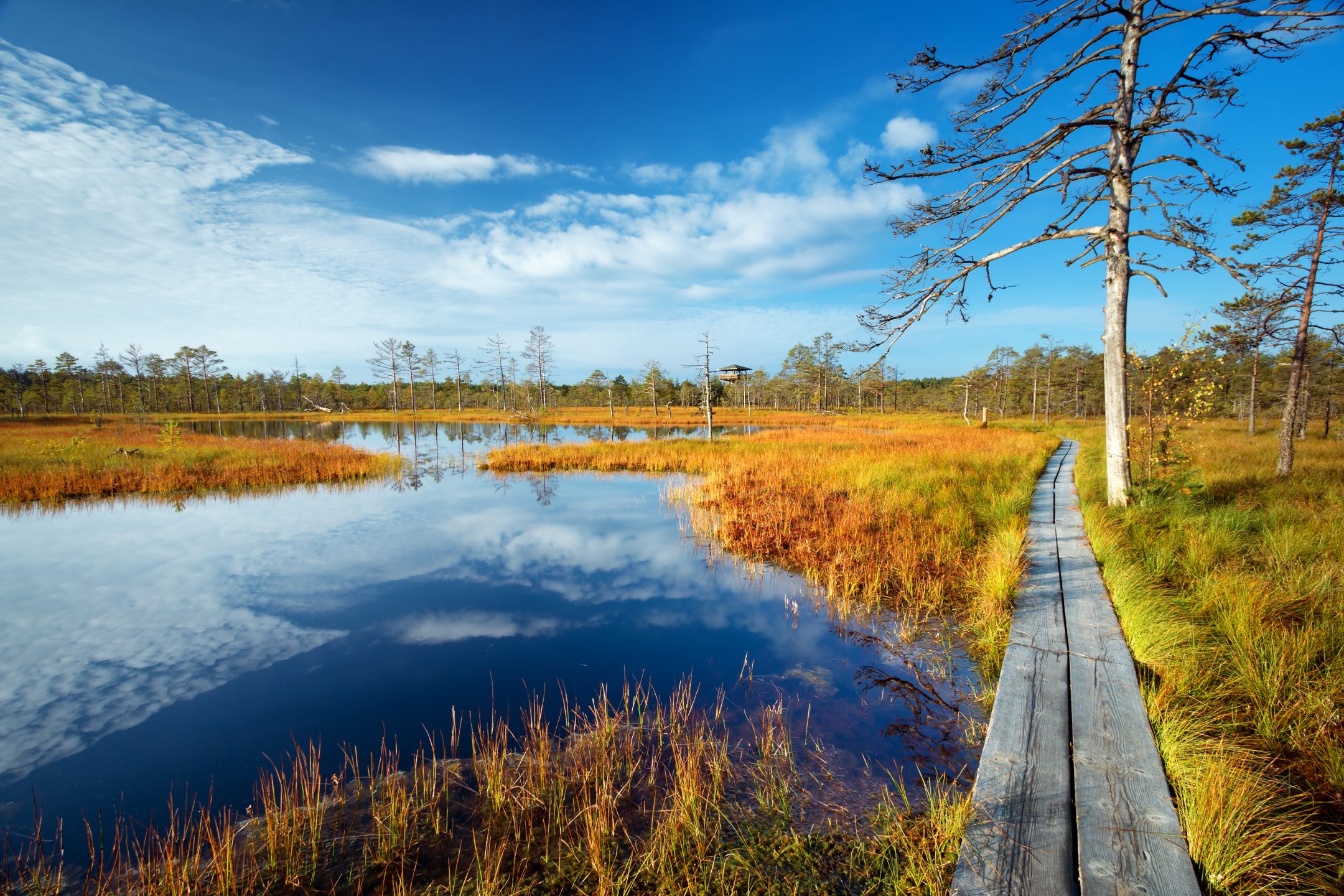 estonian nature tours