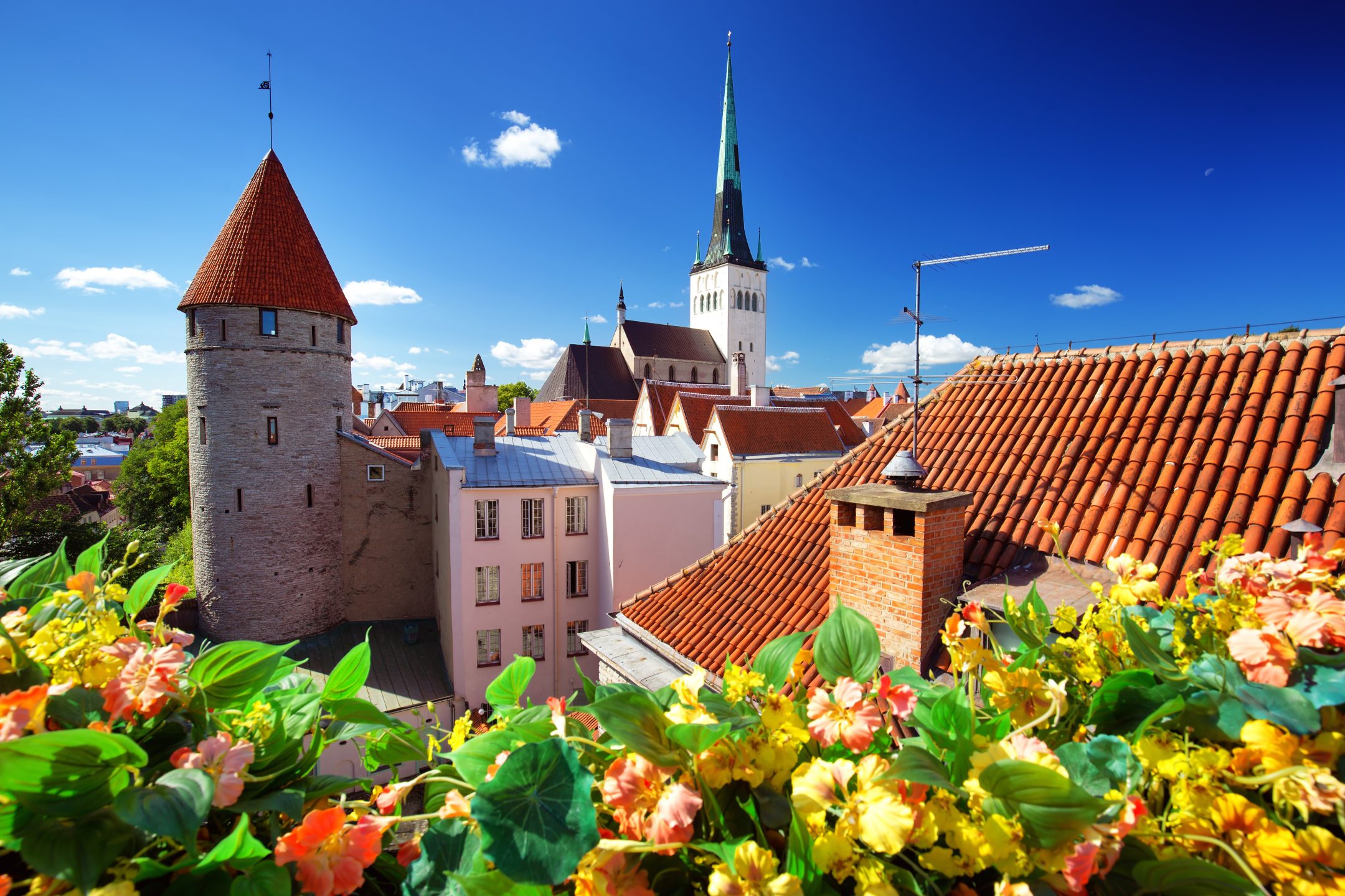 places to visit in tallinn old town