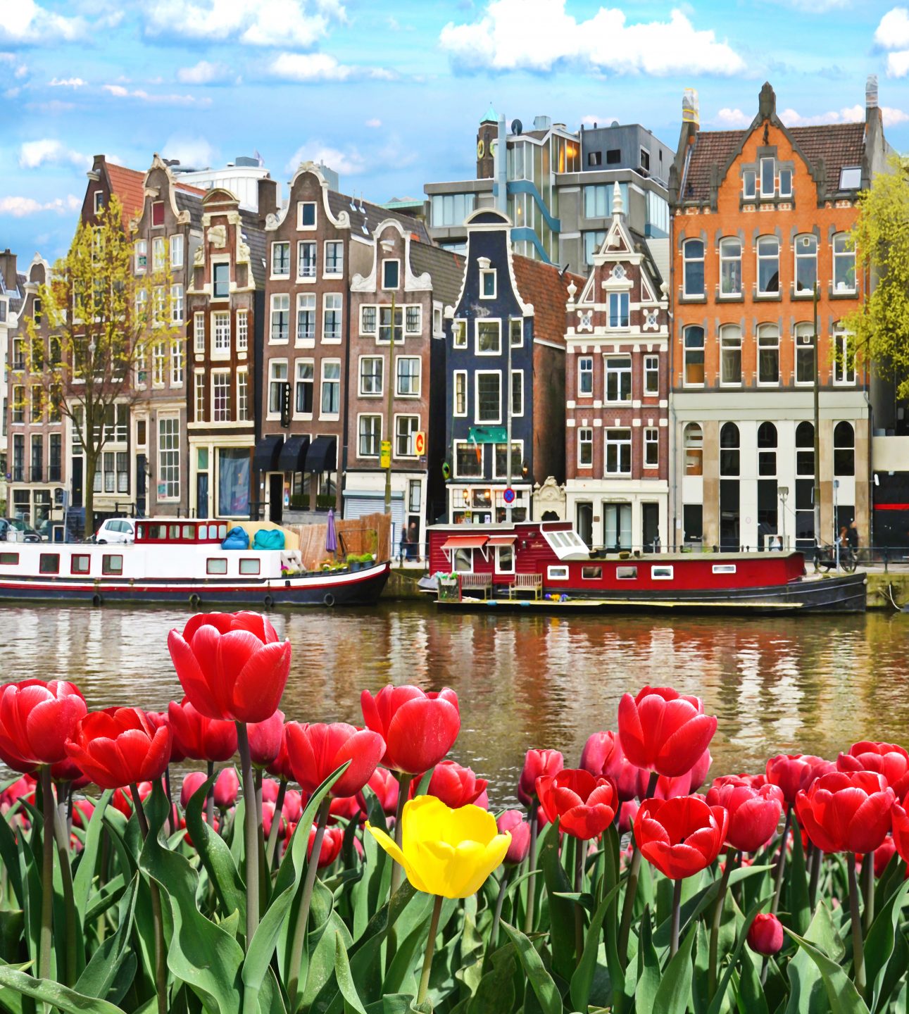 fun tours amsterdam