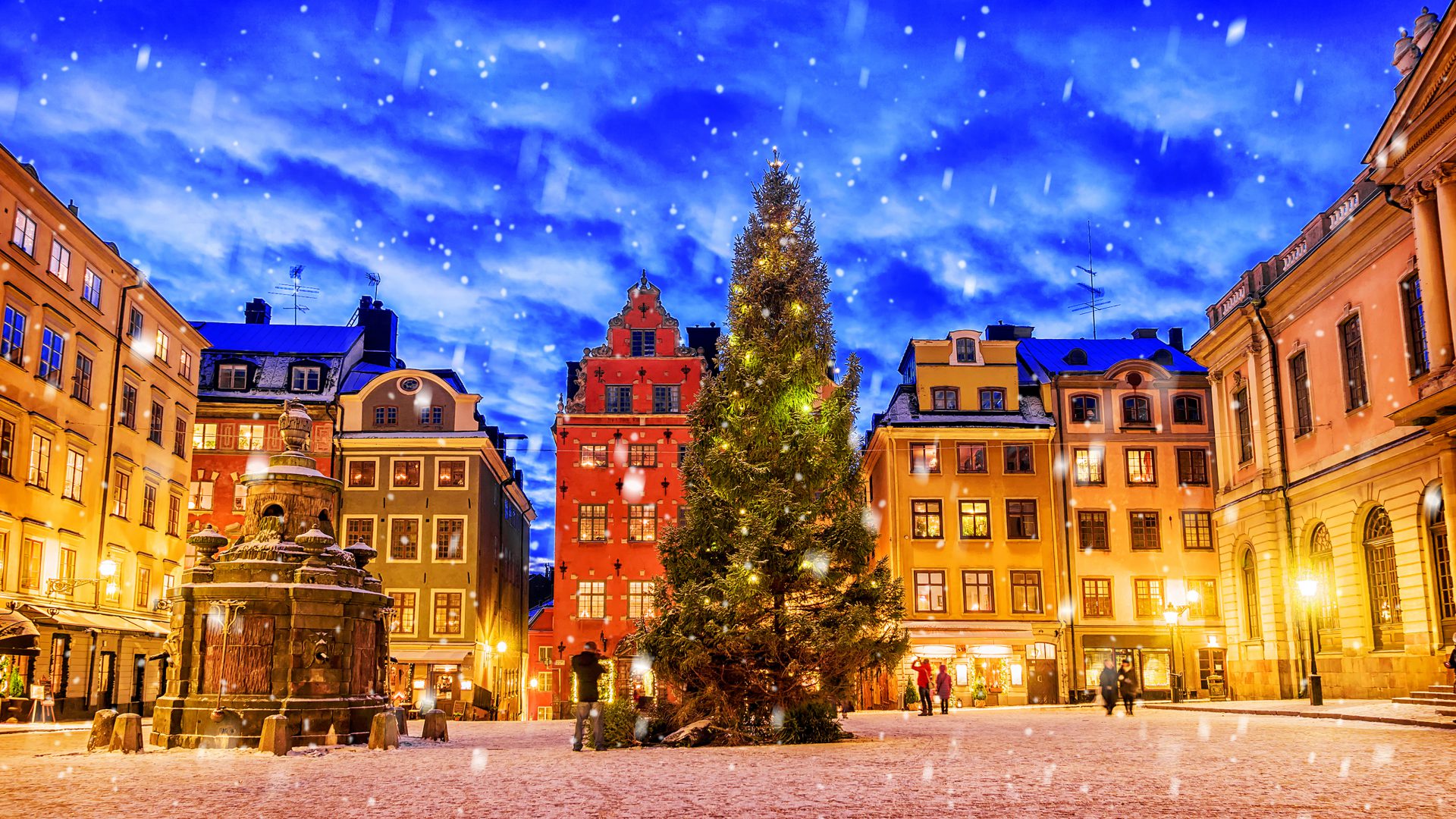 visit stockholm in december